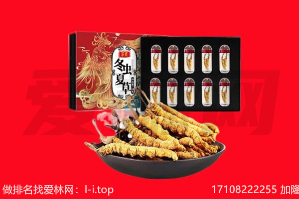 沧州市回收虫草.jpg